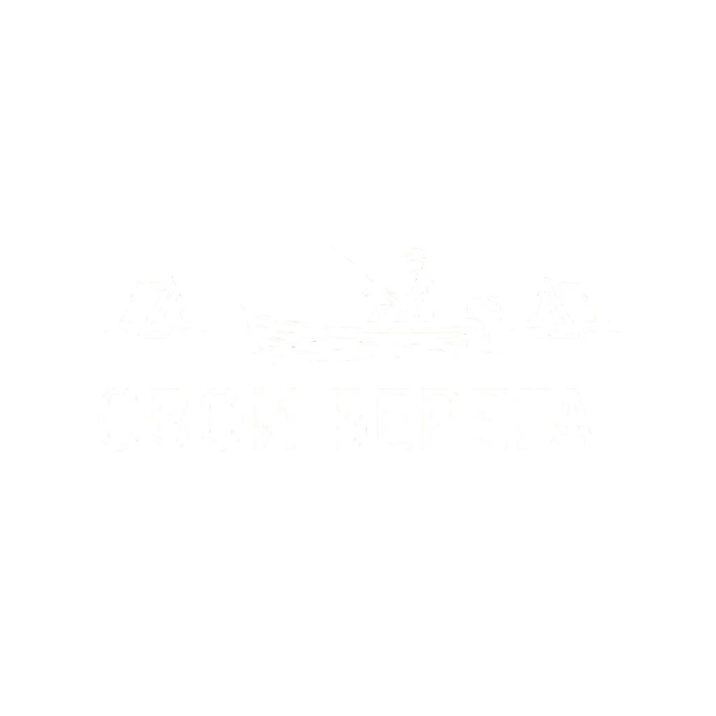 Логотип СВОИ БЕРЕГА